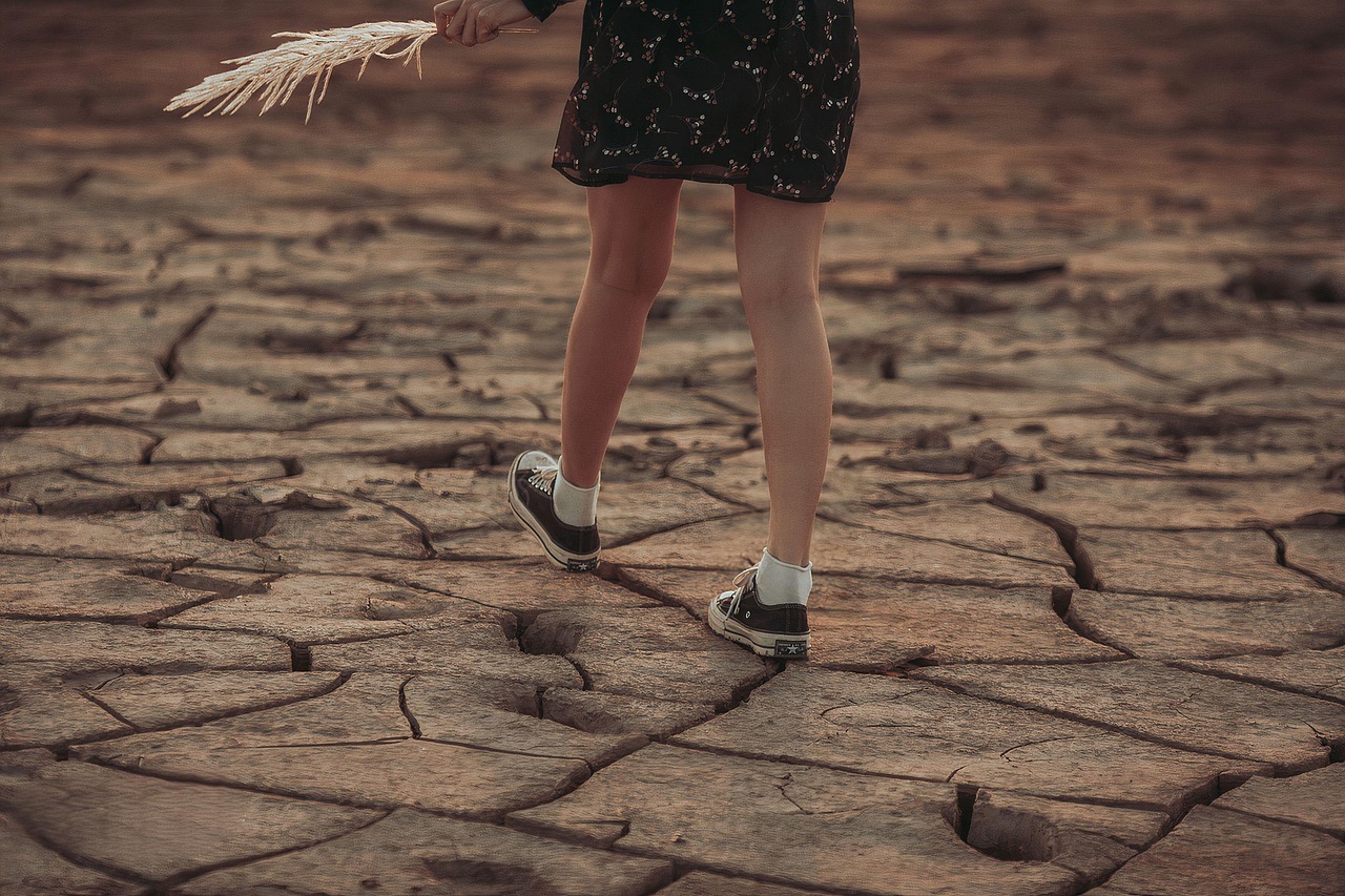 Wie verändert der Klimawandel unsere Ernährung?